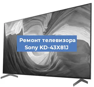 Замена порта интернета на телевизоре Sony KD-43X81J в Перми